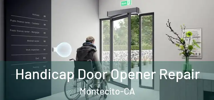  Handicap Door Opener Repair Montecito-CA